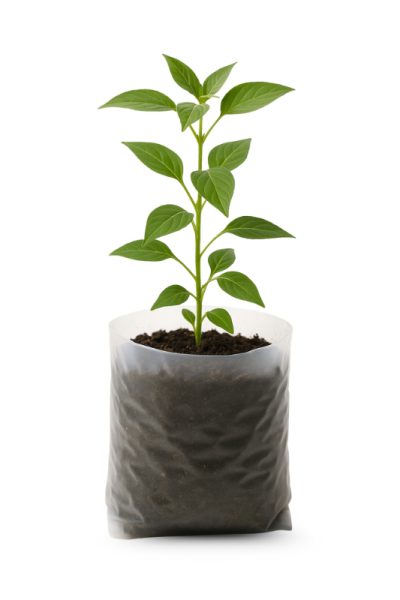 Bio Compostable Nursery Bags